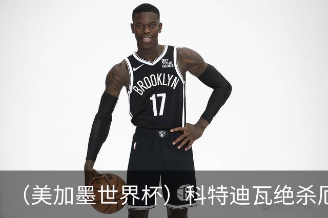 （美加墨世界杯）科特迪瓦绝杀厄瓜多尔 瑞典5:1大胜突尼斯