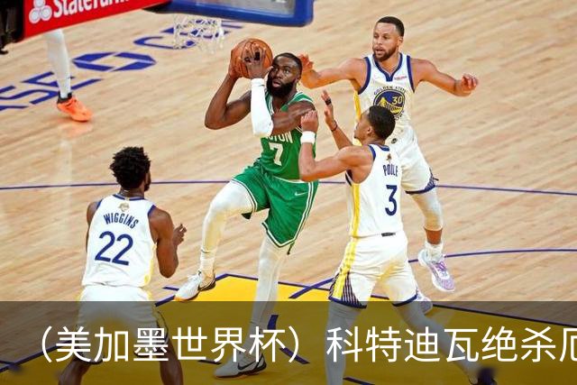 （美加墨世界杯）科特迪瓦绝杀厄瓜多尔 瑞典5:1大胜突尼斯
